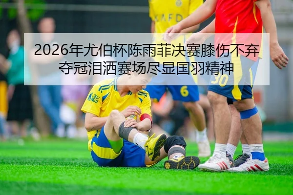 nian-you-bo-bei-chen-yu-fei-jue-sai-xi-shang-bu-qi-duo-guan-lei-sa-sai-chang-jin-xian-guo-yu-jing-shen-2-424.jpg